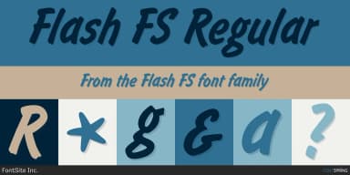 Flash FS by FontSite Inc. — Script Handwritten Font — thumbnail 1