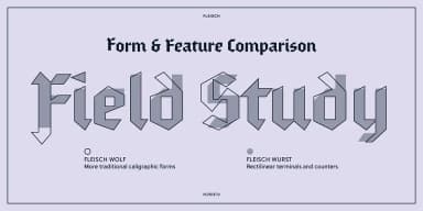Fleisch by Delve Fonts — Blackletter Font — thumbnail 2