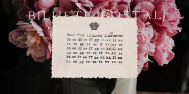 Fletcher Typewriter Font & Extras by Ana's Fonts — Dingbats Font — thumbnail 4