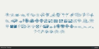 Fleuraloha by Wiescher-Design — Dingbats Font — thumbnail 1