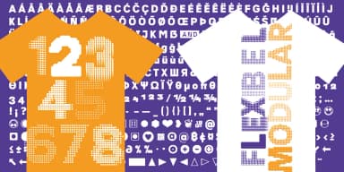 Flexibel Modular by Typo Graphic Design — Dingbats Font — thumbnail 8