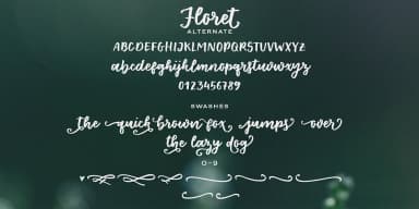 Floret by Ana's Fonts — Dingbats Font — thumbnail 3