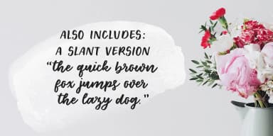 Floret by Ana's Fonts — Dingbats Font — thumbnail 8