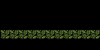 Flower and Leaf Borders by Outside the Line — Dingbats Font — thumbnail 3