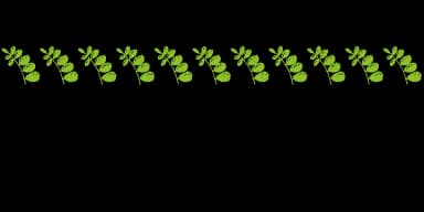 Flower and Leaf Borders by Outside the Line — Dingbats Font — thumbnail 6