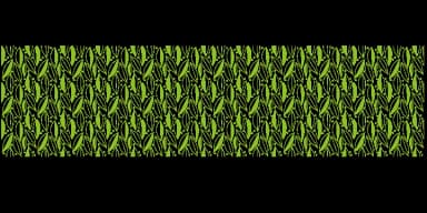 Flower and Leaf Borders by Outside the Line — Dingbats Font — thumbnail 8