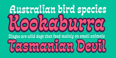 Fonty by Rodrigo Typo — Decorative Font — thumbnail 5