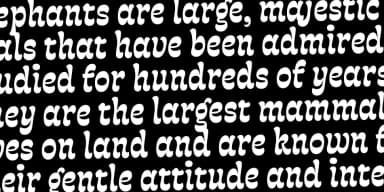 Fonty by Rodrigo Typo — Decorative Font — thumbnail 7