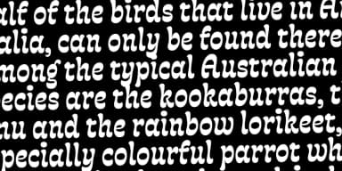 Fonty by Rodrigo Typo — Decorative Font — thumbnail 9