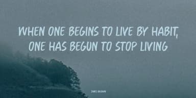 Force Of Habit by Kitchen Table Type Foundry — Display Font — thumbnail 5