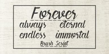 Forever Brush Script by Pedro Teixeira — Script Handwritten Font — thumbnail 5
