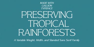 Gallion Pro by Masa Type — Display Font — thumbnail 2