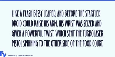 GAMENESS by Typodermic Fonts Inc. — Decorative Font — thumbnail 4