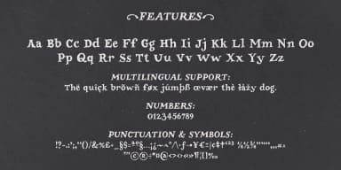 Garden Song by Ana's Fonts — Dingbats Font — thumbnail 2