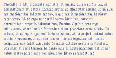 Gothamburg by Ingrimayne Type — Blackletter Font — thumbnail 4