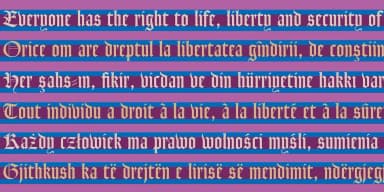 Goudy Text CT by CastleType — Blackletter Font — thumbnail 8