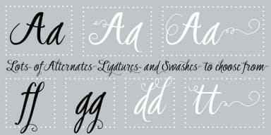 Graduate by Fontforecast — Dingbats Font — thumbnail 2