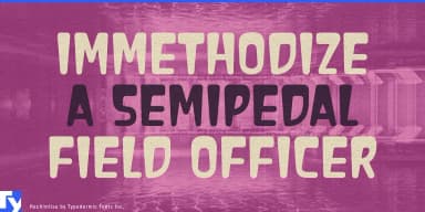 HACHIMITSU by Typodermic Fonts Inc. — Decorative Font — thumbnail 2