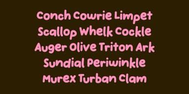 Handpicked Seashells by type peace — Decorative Font — thumbnail 4