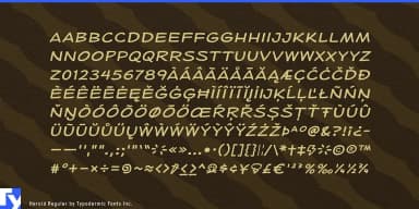 HEROID by Typodermic Fonts Inc. — Decorative Font — thumbnail 5