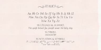 High Hopes by Ana's Fonts — Dingbats Font — thumbnail 3