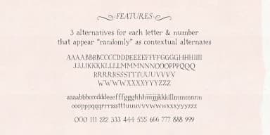 High Hopes by Ana's Fonts — Dingbats Font — thumbnail 9