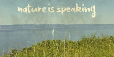 Honeyvoid by Pizzadude.dk — Script Handwritten Font — thumbnail 5