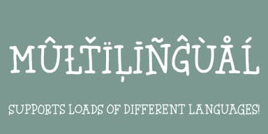 HYGGEBUKSER by Bogstav — Dingbats Font — thumbnail 4