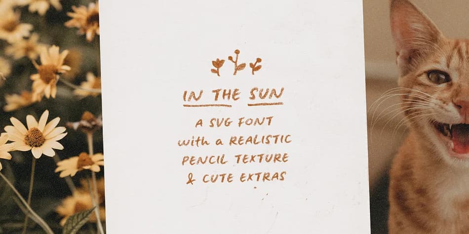 In The Sun by Ana's Fonts — Dingbats Font