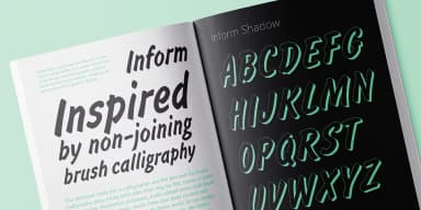 Inform by ParaType — Decorative Font — thumbnail 2