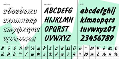 Inform by ParaType — Decorative Font — thumbnail 3