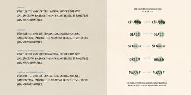 INSPIRATO by type peace — Display Font — thumbnail 10