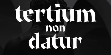Ironia by Tour de Force Font Foundry — Blackletter Font — thumbnail 4