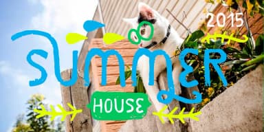 JANMEID by Rodrigo Typo — Dingbats Font — thumbnail 8