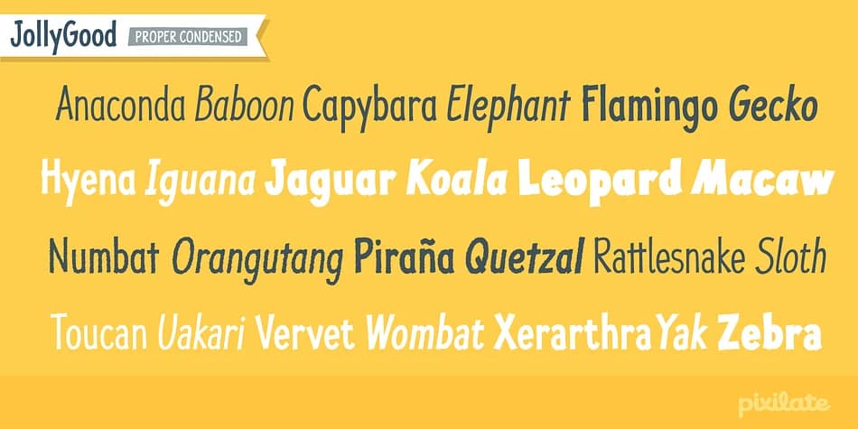 JollyGood Proper Condensed by Letradora — Decorative Font