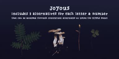 Joyous by Ana's Fonts — Dingbats Font — thumbnail 8