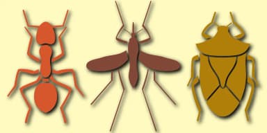 Just Bugs by Gerald Gallo Fonts — Dingbats Font — thumbnail 1