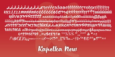 Kapelka New by ParaType — Script Handwritten Font — thumbnail 5