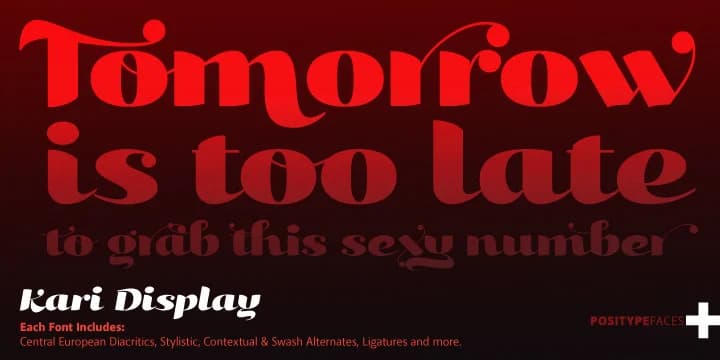 Kari Display Pro by Positype — Script Handwritten Font