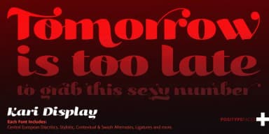 Kari Display Pro by Positype — Script Handwritten Font — thumbnail 1