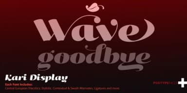 Kari Display Pro by Positype — Script Handwritten Font — thumbnail 3