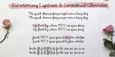 Kinfolk Pro by Fontforecast — Script Handwritten Font — thumbnail 10