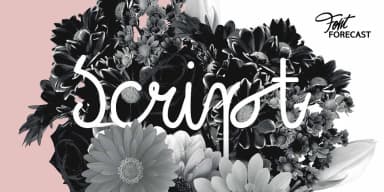 Kinfolk Pro by Fontforecast — Script Handwritten Font — thumbnail 9