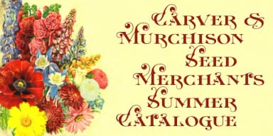 Kinver by Greater Albion Typefounders — Decorative Font — thumbnail 4