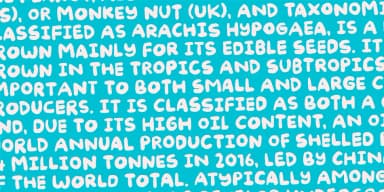 KRYDDERI by Pizzadude.dk — Display Font — thumbnail 6