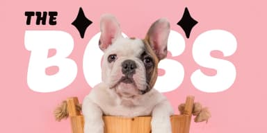 LA PICá by Rodrigo Typo — Display Font — thumbnail 9