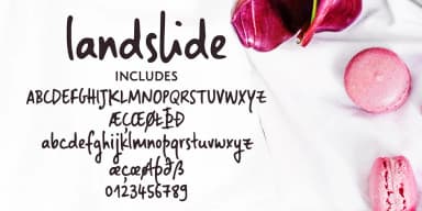 Landslide by Ana's Fonts — Dingbats Font — thumbnail 2