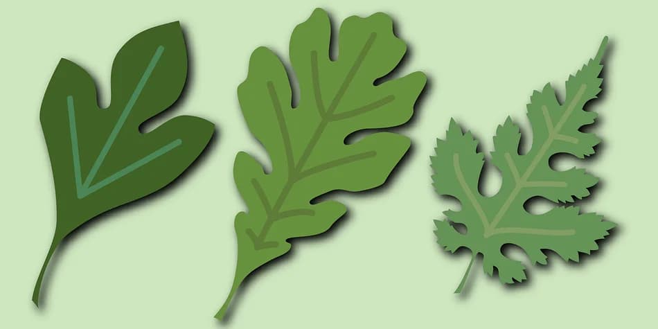 Leaf Assortment by Gerald Gallo Fonts — Dingbats Font