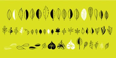 Leaf Doodles by Outside the Line — Dingbats Font — thumbnail 1