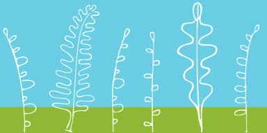 Leaf Doodles by Outside the Line — Dingbats Font — thumbnail 2